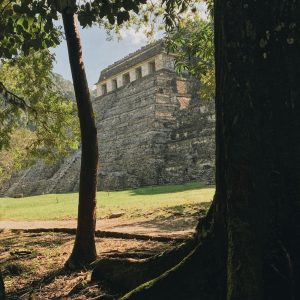 Palenque, Yaxchilán y Bonampak: por la selva maya