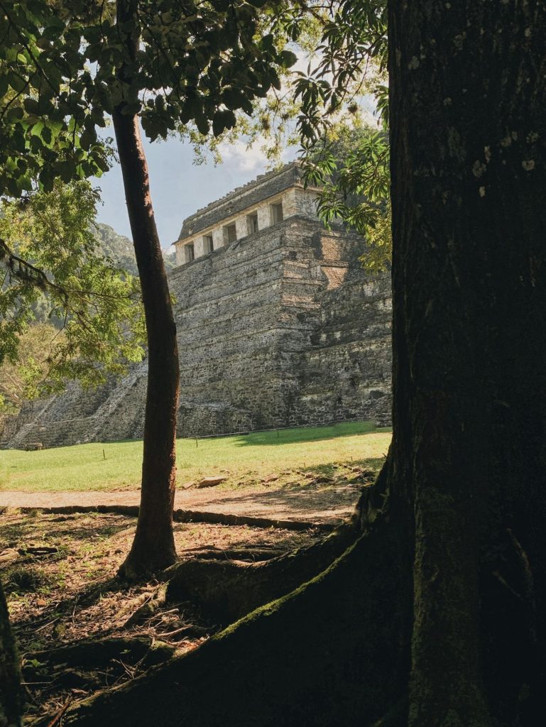 Palenque, Yaxchilán y Bonampak: por la selva maya