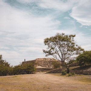 Monte Albán y Mitla con arqueólogo especialista
