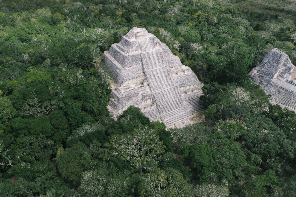 Calakmul: selva, monos y jaguares