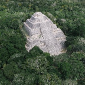 Calakmul: selva, monos y jaguares